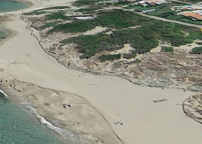 Milhouse 빌라 로사 마리나